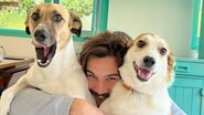 Nicolas Prattes surgiu sem camisa se divertindo ao lado de seus dois cachorros - Reprodução/Instagram
