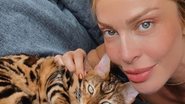 Grazi Massafera encanta a web com foto ao lado de gato - Foto: Reprodução / Instagram