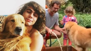 Rafael Vitti lamenta morte de cachorrinho da família - Reprodução/Instagram
