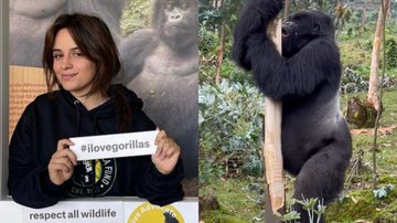 Cantora Camila Cabello visita famosa Montanha dos Gorilas, em Ruanda, e fala sobre importância de conservação da espécie - Foto: Reprodução / Instagram