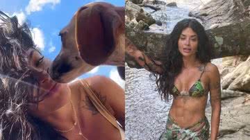 Happy, cachorrinha que Aline Campos adotou, na verdade se chama Pandora e tem dona - Foto: Reprodução / Instagram / Twitter