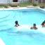 Grupo fadas na piscina do BBB 24