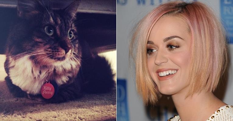 Katy Perry e sua gatinha - Reprodução Twitter/Getty Images
