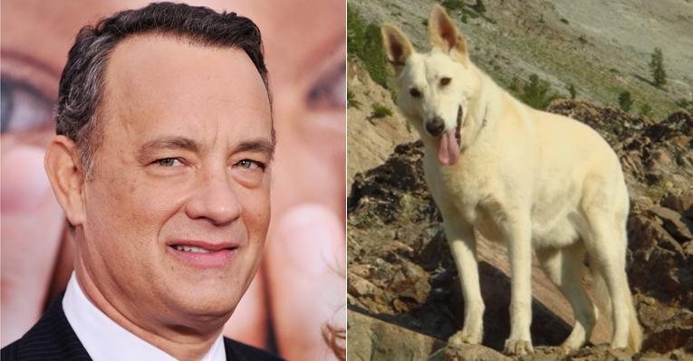 Entristecido, Tom Hanks faz homenagem ao seu pastor alemão que morreu - Foto Montagem