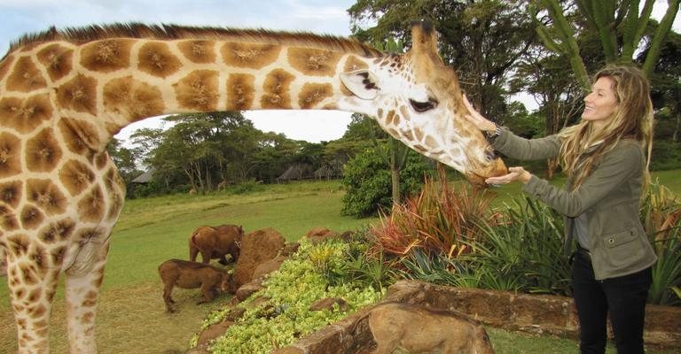No país africano, Gisele vai a centro de proteção de girafas e se diverte com os animais - Celebrity Agency