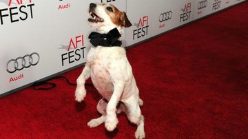 Uggie - Getty Images