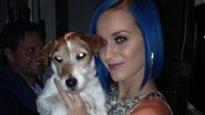 Katy Perry e Uggie, o cão de 'O Artista' - Reprodução/Twitter