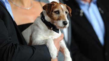 Uggie - Getty Images