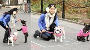 Fofura: Vanessa Hudgens com seus cães nas ruas de Nova York - Grosby Group