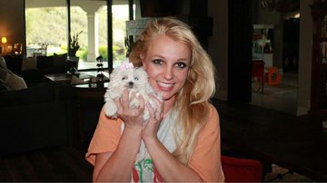 Britney Spears com a sua nova cachorrinha - Reprodução / Twitter