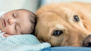 Animais e bebês podem, sim, ser melhores amigos. Saiba o porquê - FOTO: STUDIO GAEA