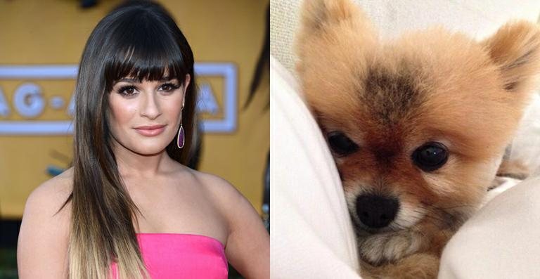 Lea Michele apresenta a sua nova cachorrinha, Pearl - Reprodução / Twitter