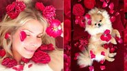 Karina Bacchi refaz cena do filme 'Beleza Americana' com sua cachorrinha de estimação - Instagram/Reprodução