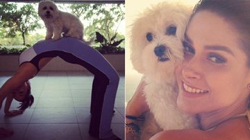 Fernanda Machado com a cachorrinha Cali - Reprodução / Instagram