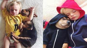 Pet: amor entre bebê e seu cachorro - Foto-montagem