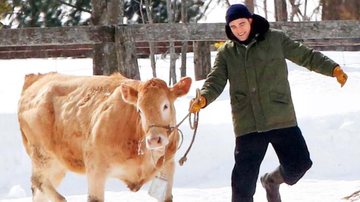 Robert Pattinson roda cenas com uma vaca - The Grosby Group