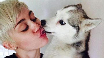 Miley Cyrus diz estar "quebrada" e "miserável" após morte do cachorro - Twitter/Reprodução