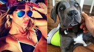 Giovanna Ewbank e a cadela Menina - Reprodução / Instagram