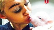Miley Cyrus dá selinho em porco e viaja com animal no colo - Instagram/Reprodução