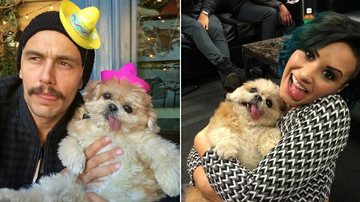James Franco e Demi Lovato com a cachorrinha Marnie - Instagram/Reprodução