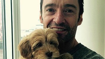 Hugh Jackman ganha cachorro - Reprodução/Instagram
