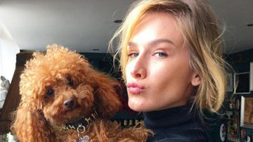 Em Londres, Fiorella Mattheis posa com cachorrinho - Reprodução / Instagram