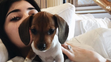 Kylie Jenner ganha um cachorro de presente - Reprodução/Instagram