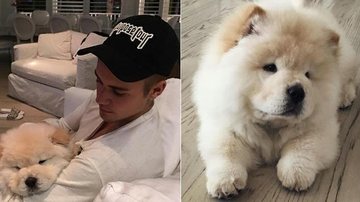 Justin Bieber abandona seu cachorro de estimação - Reprodução / Instagram
