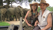 Bruna Lombardi e Carlos Riccelli durante passeio em safári na África - Divulgação