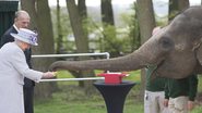 Rainha Elizabeth alimenta elefantes em Bedfordshire - Getty Images