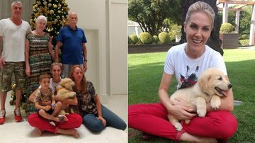 Ação do bem: Ana Hickmann adota cãozinho - Divulgação