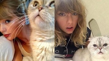Taylor Swift e Olivia Benson - Instagram/Reprodução