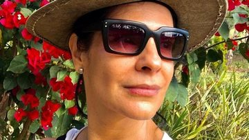 Helena Ranaldi lamenta a morte de pipoqueiro de teatro - Reprodução/Instagram