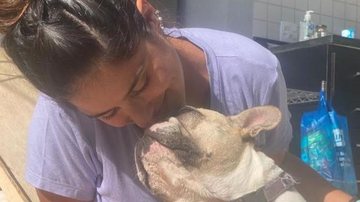 Camilla Camargo lamenta morte da cachorra - Reprodução/Instagram