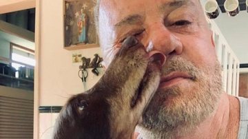 Luiz Fernando Guimarães lamenta morte do seu cachorro - Reprodução/Instagram