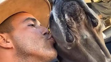 André Marques celebra 'Dia do Amigo' com seu cão - Instagram