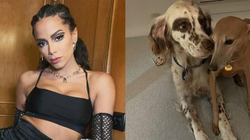 Anitta volta para os EUA e recebida pelos seus cachorros - Reprodução/Instagram