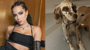Anitta volta para os EUA e recebida pelos seus cachorros - Reprodução/Instagram