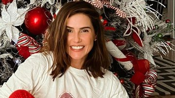 Deborah Secco impressiona ao mostrar sua árvore de Natal - Reprodução/Instagram
