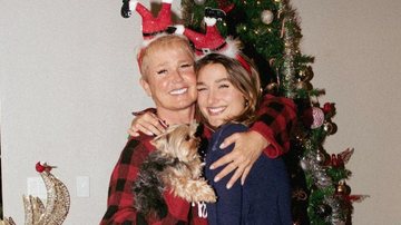 Sasha Meneghel mostra Natal em Orlando com Xuxa e família - Reprodução/Instagram