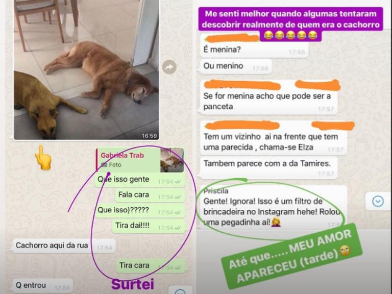 Fernanda Gentil cai na pegadinha do cachorro virtual 