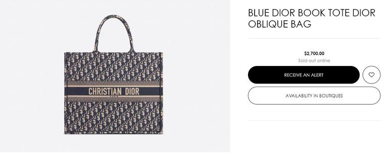 Blue Dior Book Tote Dior Oblique Bag