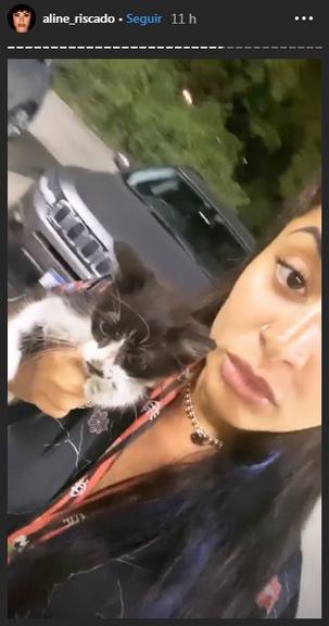 Aline Riscado adota gatinho abandonado