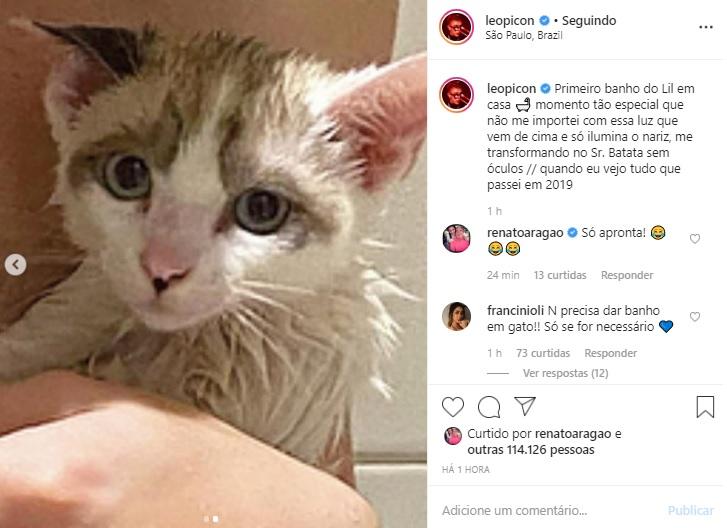 Leo Picon compartilha clique dando banho em seu gatinho, Lil