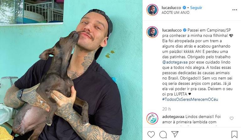 Lucas Lucco adota cachorrinha que perdeu uma patinha