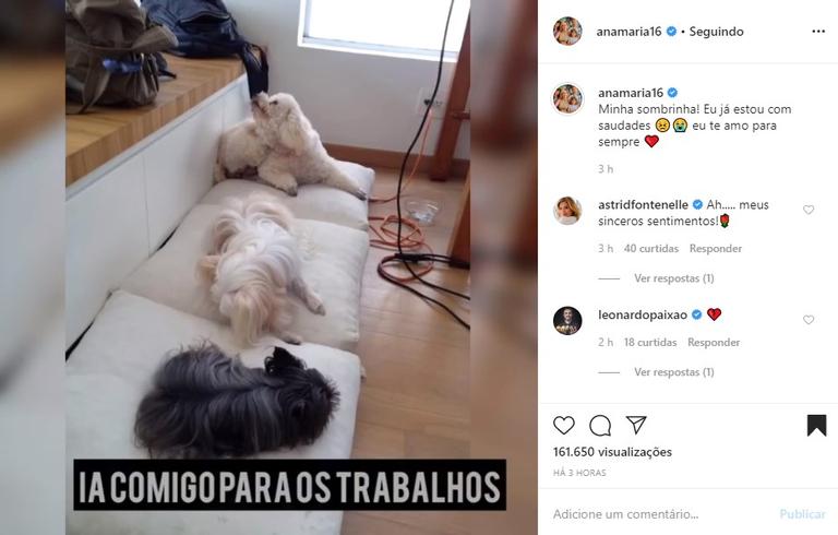 Ana Maria Braga lamenta morte de sua cachorrinha