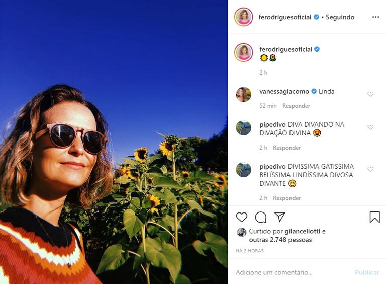 Fernanda Rodrigues compartilha foto com girassóis e encanta
