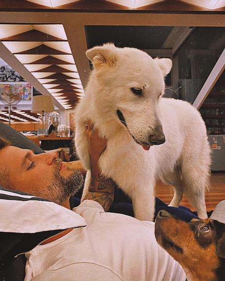 Bruno Gagliasso com seus cachorros