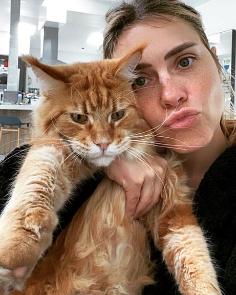 Carolina Dieckmann posa coladinha ao seu gato e encanta fãs
