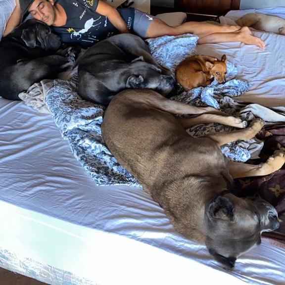 André Marques é flagrado dormindo ao lado de seus cães
